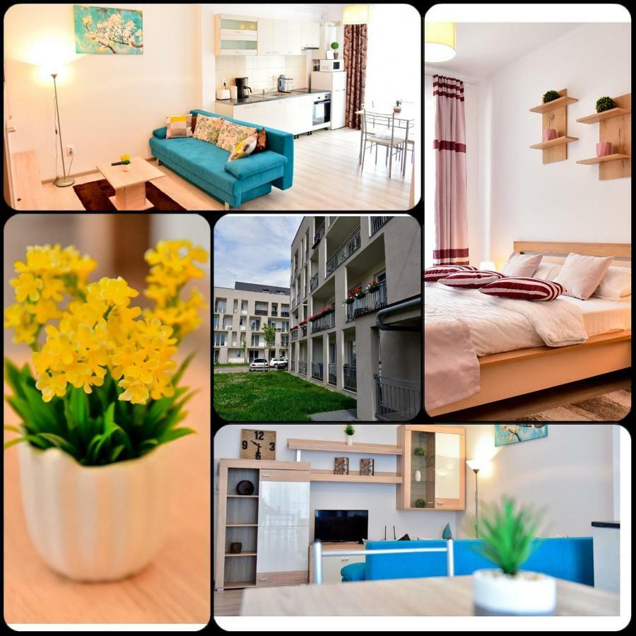 Flh - Apartament Central Silva Sibiu Buitenkant foto