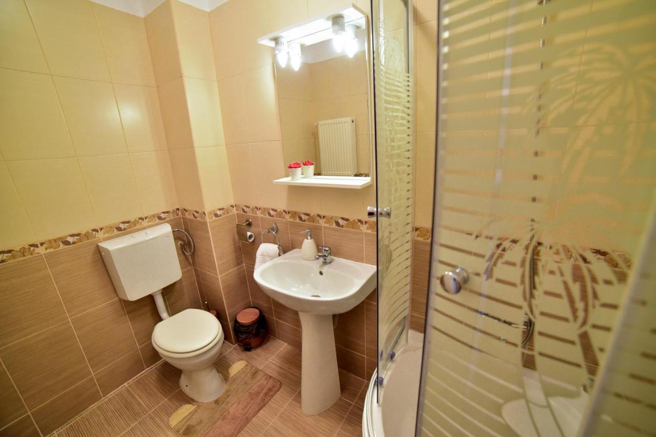 Flh - Apartament Central Silva Sibiu Buitenkant foto